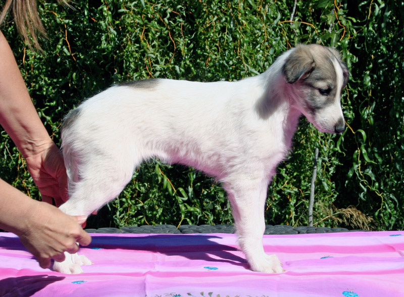 Surf Spots - Girl 2 Right